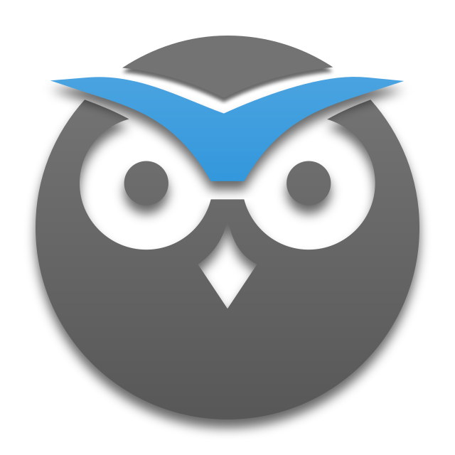 Surveillance Icon